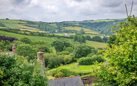 Coulscott Pipistrelle Barn: Verde, Vegetazione, Paesaggio Naturale, Arbusto, Paesaggio, Pascolo, Collina, Area Rurale, Highland