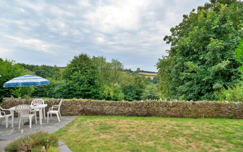 Filspholly: Erba, Arbusto, Giardino, Groundcover, Prato, Landscaping, Prato, Cortile, Backyard, Hedge