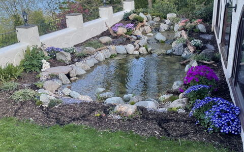 Cliff Lodge: Roccia, Arbusto, Giardino, Groundcover, Backyard, Landscaping, Giochi D'Acqua, Cortile, Prato