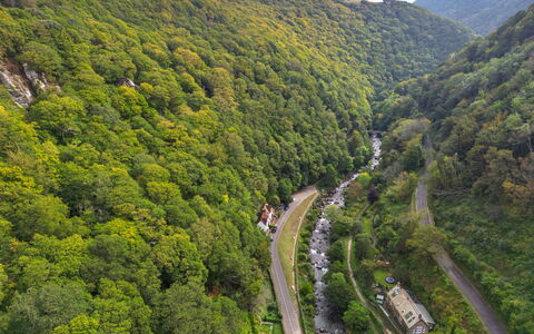River Cottage: Natura, Ambiente Naturale, Vegetazione, Arbusto, Foresta, Paesaggio, Highland, Comunita 'Impianto, Giungla, Strada Transitabile