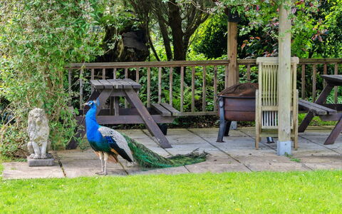 Trimstone Manor - Granary Cottage: Giardino, Panchina, Prato, Cortile