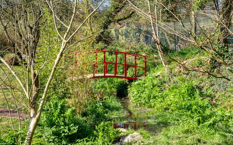 Trimstone Manor - Lee, Studio Apartment: Verde, Natura, Ambiente Naturale, Foglia, Ponte, Vegetazione, Paesaggio Naturale, Arbusto, Comunita 'Impianto