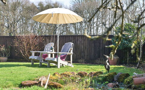 Snuggery: Mobilia, Mobili Da Esterno, Legna, Sedia, Arbusto, Giardino, Ombrello, Tavolo Esterno, Prato, Groundcover
