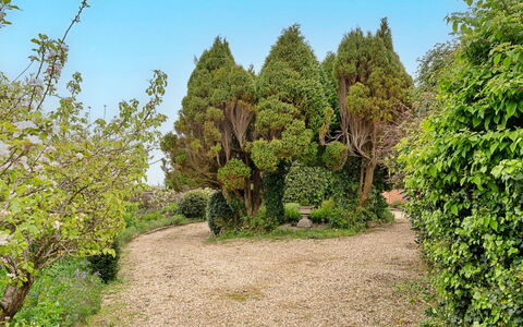 Heselwood: Verde, Foglia, Vegetazione, Arbusto, Giardino, Comunita 'Impianto, Groundcover, Woody Impianto, Giardino Botanico