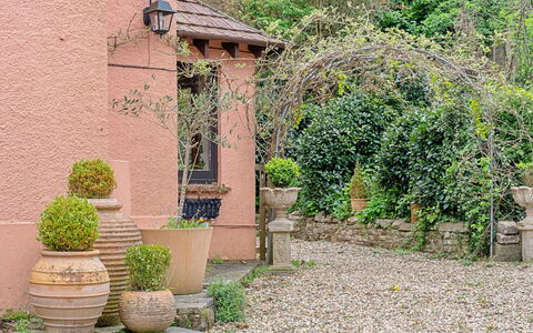 Heselwood: Arbusto, Vaso Di Fiori, Giardino, Primavera, Landscaping, Pianta Della Casa, Flagstone, Passerella, Brick
