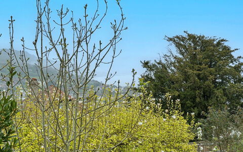 The Heselwood Coach House: Cielo, Ramo, Natura, Foglia, Vegetazione, Giallo, Ramoscello, Primavera, Woody Impianto