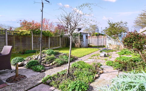Forget Me Not: Giardino, Arbusto, Groundcover, Passerella, Backyard, Landscaping, Flagstone, Cortile, Shade