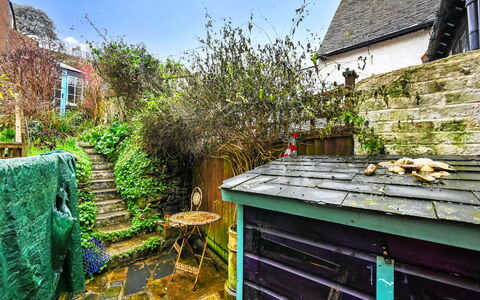 Old Town Cottage, Hastings: Arbusto, Giardino, Villetta, Backyard, Cortile, Landscaping, Vaso Di Fiori, Pianta Della Casa