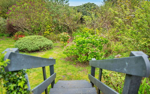 Arfron: Verde, Foglia, Natura, Vegetazione, Paesaggio Naturale, Arbusto, Comunita 'Impianto, Giardino, Groundcover, Riserva Naturale