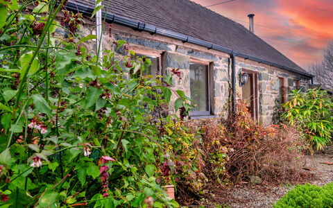 Pandy Farmhouse: Arbusto, Villetta, Casa, Tetto, Casa, Giardino, Agriturismo, Cortile, Landscaping, Backyard