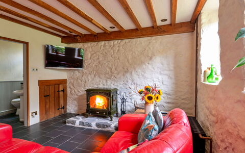 Pandy Farmhouse: Legna, Mobilia, Casa, Pavimentazione, Focolare, Villetta, Color Legno, Soggiorno, Latifoglie