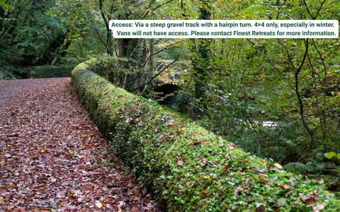 Waen Fechan: Foglia, Verde, Arbusto, Groundcover, Comunita 'Impianto, Hedge, Giardino, Suolo, Erba