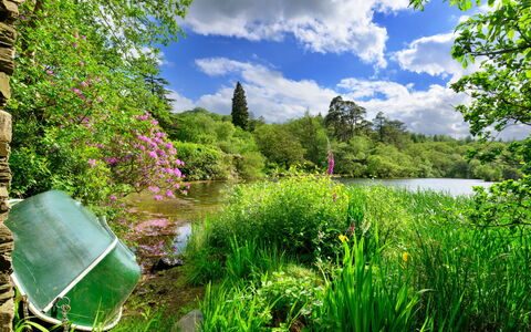 Tafarn Trip: Verde, Natura, Paesaggio Naturale, Vegetazione, Arbusto, Giardino, Estate, Alveo, Comunita 'Impianto, Banca