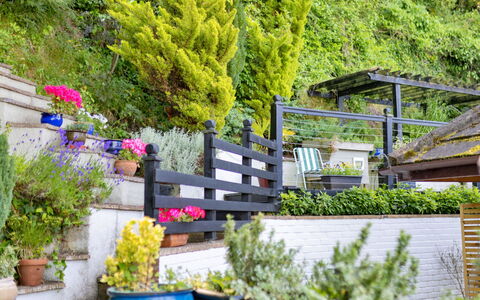 Yr Ardd Bellaf: Fiore, Arbusto, Giardino, Vaso Di Fiori, Groundcover, Primavera, Landscaping, Pianta Della Casa, Cortile