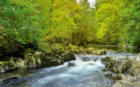 Dyffryn: Risorse Idriche, Acqua, Alveo, Corpo D'Acqua, Ramo, Natura, Foglia, Verde, Stream, Ambiente Naturale