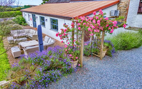 Jabajak Vineyard: Fiore, Arbusto, Giardino, Villetta, Groundcover, Primavera, Landscaping, Cortile, Agriturismo
