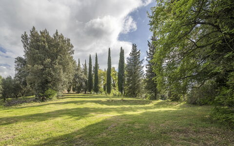 Casa Amelia, Pool, Casole Elsa, Monti: Foglia, Erba, Albero, Ambiente Naturale, Natura, Verde, Ramo, Vegetazione, Paesaggio Naturale, Arbusto