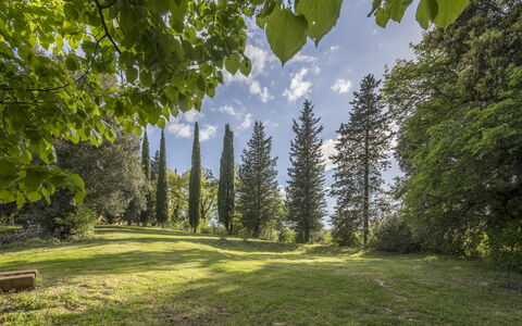 Casa Amelia, Pool, Casole Elsa, Monti: Foglia, Albero, Natura, Verde, Ambiente Naturale, Ramo, Vegetazione, Paesaggio Naturale, Arbusto, Comunita 'Impianto