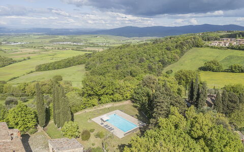 Casa Amelia, Pool, Casole Elsa, Monti: Paesaggio, Estate, Landscaping, Piantagione, Agriturismo, Villa, Hacienda, Piscina, Sempreverde