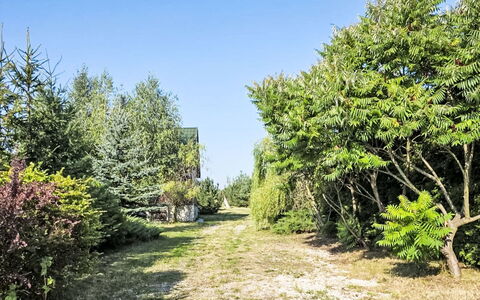 Oaza Spokoju: Vegetazione, Arbusto, Comunita 'Impianto, Woody Impianto, Giardino, Sempreverde, Landscaping, Larice, Shrubland