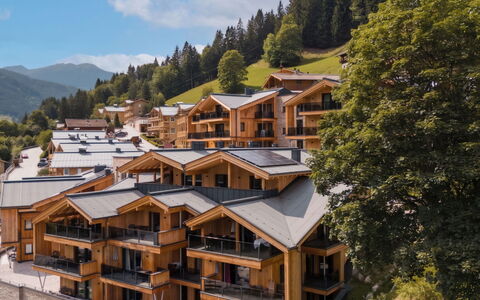 Viehhofen 1: Balcone, Legname, Eco Hotel, Paesino Di Montagna, Hotel, Ricorrere, Raccordo, Alpi