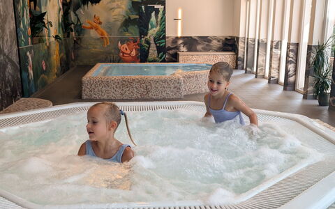 Viehhofen 1: Tempo Libero, Comfort, Bambino, Vasca Idromassaggio, Hotel, Piscina, Ricorrere