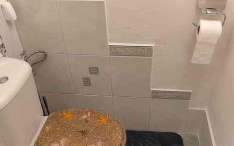 Elizabeth: Toilet Seat, Gabinetto, Idraulico Fixture, Bagno, Pavimento, Pavimentazione, Interior Design, Idraulico, Camera, Piastrella