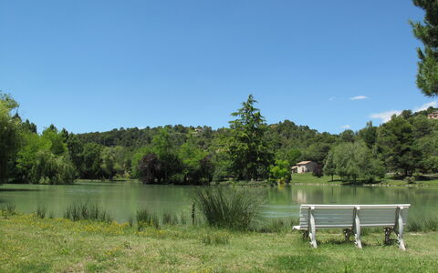 Lou Parpaiou: Albero, Risorse Idriche, Corpo D'Acqua, Natura, Ambiente Naturale, Paesaggio Naturale, Vegetazione, Banca, Estate, Alveo