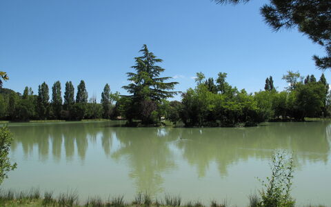 Lou Parpaiou: Risorse Idriche, Acqua, Corpo D'Acqua, Albero, Ambiente Naturale, Natura, Paesaggio Naturale, Alveo, Banca, Waterway