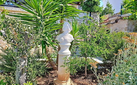 Mariva: Arbusto, Giardino, Ornamento Da Giardino, Vaso Di Fiori, Colonna, Landscaping, Pianta Della Casa, Giardino Botanico