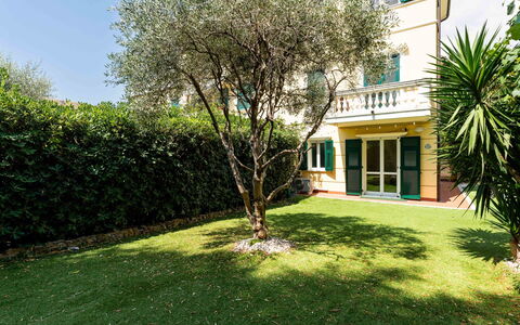 Casa Dell'Ulivo: Verde, Arbusto, Giardino, Prato, Hedge, Landscaping, Shade, Cortile, Backyard, Estate