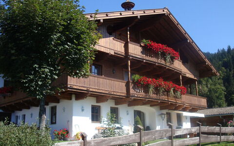 Hopfgarten im Brixental 696: Villetta, Balcone, Villaggio, Vaso Di Fiori, Pianta Della Casa, Agriturismo