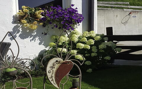 Hopfgarten im Brixental 696: Fiore, Primavera, Giardino, Fiorai, Vaso Di Fiori, Disegno Floreale, Cortile, Landscaping, Pianta Della Casa