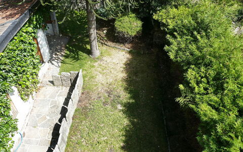 Ludiano 25: Verde, Foglia, Arbusto, Giardino, Groundcover, Shade, Backyard, Passerella, Cortile