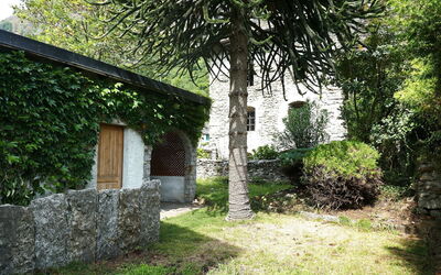Ludiano 25: Foglia, Arbusto, Giardino, Muro ​​Di Pietra, Shade, Backyard
