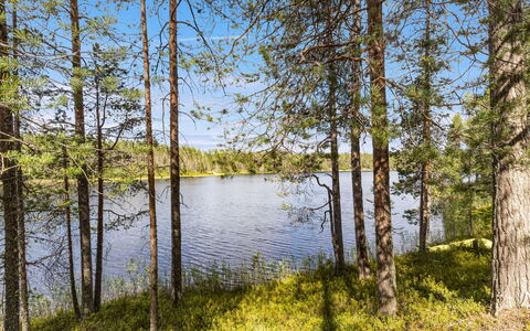 Hakojärventie 3B: Risorse Idriche, Acqua, Corpo D'Acqua, Verde, Albero, Natura, Ambiente Naturale, Paesaggio Naturale, Foglia, Vegetazione
