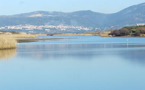 Valledoria 31: Risorse Idriche, Acqua, Geografia Montane, Corpo D'Acqua, Collina, Montagna, Banca, Waterway, Lago, Costiera E Morfologie Oceanic