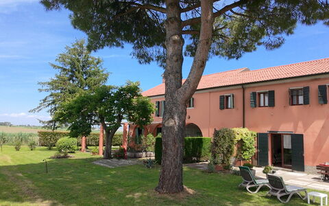 Ca' Rustica: Arbusto, Estate, Hacienda, Giardino, Landscaping, Cortile, Prato, Driveway, Shade, Villa