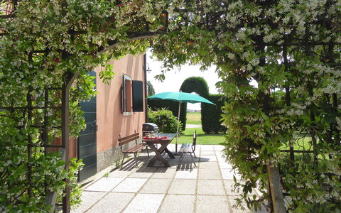 Ca' Rustica: Arbusto, Giardino, Groundcover, Primavera, Shade, Cortile, Landscaping, Prato, Backyard, Hedge