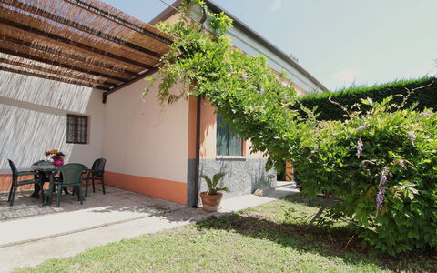 Ca' Rustica: Shade, Giardino, Backyard, Cortile, Hacienda, Landscaping, Eco Hotel, Cortile, Struttura Esterna, Agriturismo