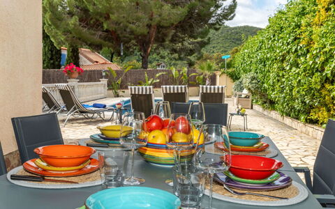 Marsa: Vegetazione, Arbusto, Primavera, Villetta, Giardino, Shade, Backyard, Cortile, Sedia