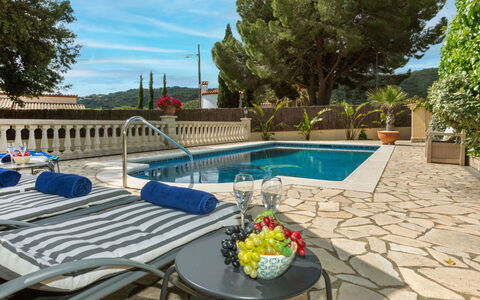 Marsa: Vegetazione, Arbusto, Primavera, Villetta, Giardino, Shade, Backyard, Cortile, Sedia