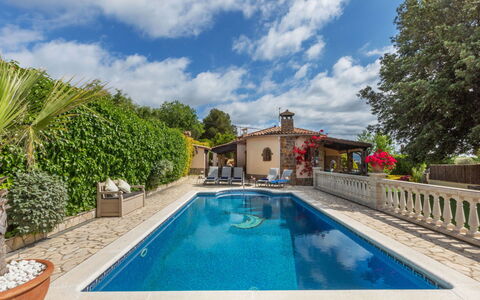 Marsa: Vegetazione, Arbusto, Primavera, Villetta, Giardino, Shade, Backyard, Cortile, Sedia