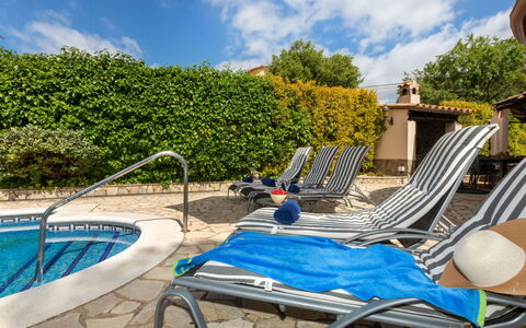 Marsa: Vegetazione, Arbusto, Primavera, Villetta, Giardino, Shade, Backyard, Cortile, Sedia