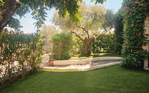 Casa Dell'Ulivo: Vegetazione, Arbusto, Primavera, Villetta, Giardino, Shade, Backyard, Cortile, Sedia