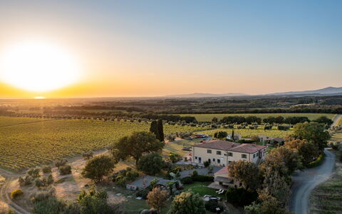 Villa Bellaria, Private Pool, Bolgheri: Paesaggio, Plain, Orizzonte, Pascolo, Lotto, Area Rurale, Ecoregione, Campo, Agricoltura, Piantagione