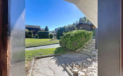 Les Naines Brunes: Arbusto, Giardino, Landscaping, Shade, Driveway, Hedge, Passerella, Sempreverde