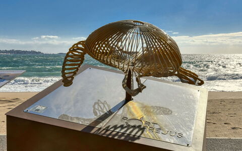 Virginie: Mare, Oceano, Costa, Spiaggia, Sabbia