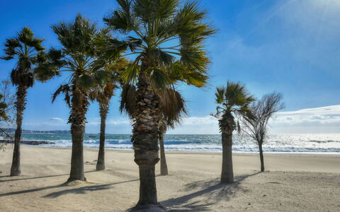 Virginie: Cielo, Blu, Spiaggia, Sabbia, Costa, Mare, Tronco, Costiera E Morfologie Oceanic, Riva, Oceano
