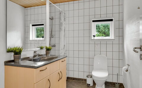 Nahuel - 300M to the Fjord: Idraulico Fixture, Lavello, Pavimentazione, Interior Design, Bagno, Pavimento, Rubinetto, Lavandino Del Bagno, Idraulico, Gabinetto